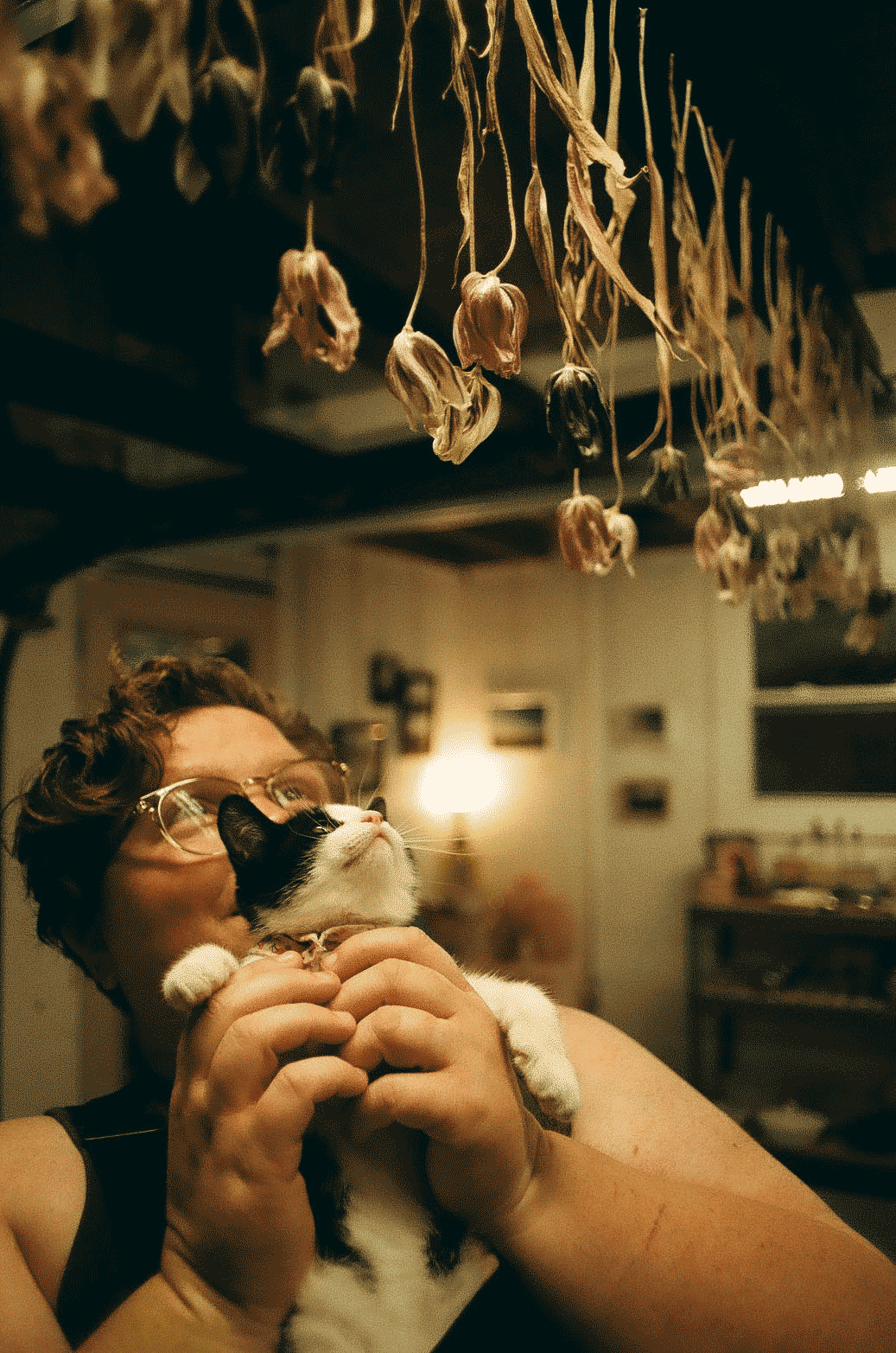Person holding up a kitten to look at dried flowers hanging