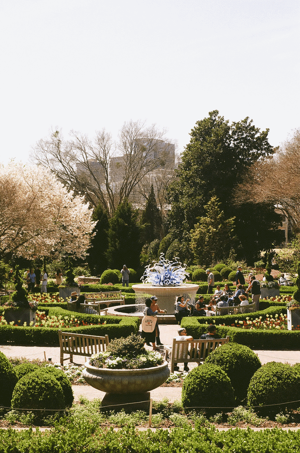 Botanical garden with people walking through it and a blue glass sculpture in the distance